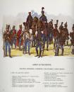 Napoleon et l'Autriche, la campagne de 1809, Tranie et Carmigniani