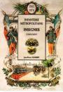 L'infanterie métropolitaine- Insignes- Complément- 1914-1970- 3ème PARTIE- J.P. Guarry- 083/150- Dédicacé par l'auteur