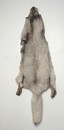Peaux de renard cendré gris clair 130 cm minimum