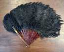Éventail en plumes d'autruche noir. Belle époque