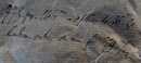 Ruban satin or mi-fin, 19 mm large. PRIX PAR ROULEAU DE 36 m minimum.