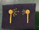 Insigne de sous officier RADIO-TELEGRAPHISTE de la Marine. 2 antennes or/bleu marine très foncé. Grande Guerre. Très bon état.