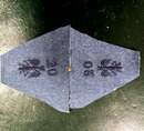 Paire de pattes triangulaires pour cols 