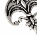 Boucles d'oreilles Erasmus