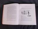Cahiers du capitaine Coignet. Hachette 1888. Larchey/ Le Blant