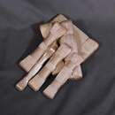 Tresse plate Or mi-fin - 2, 3, 4, 5, 8, 12 et 20 mm - Fab. Française ancienne - 