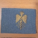 WWI. Paires de foudres d'état major d'officier, brodées or, 55 mm  sur fond de drap de laine bleu horizon, très fin.