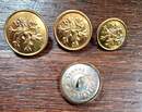 Grande Guerre- BELGIQUE- Boutons au lion dorés- neufs de stock -3 diam - Production des Éts David 