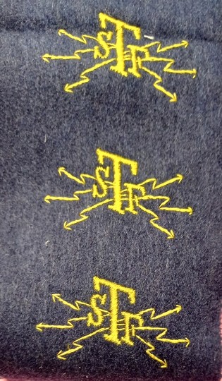 Insigne de TELEGRAPHE SANS FIL de l'infanterie, troupe. Lettres TSF Jaune/gris de fer bleuté. Prix à l'unité